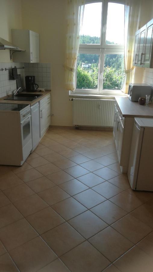 Ferienwohnung Sonnenblick Burkhardtsdorf Esterno foto